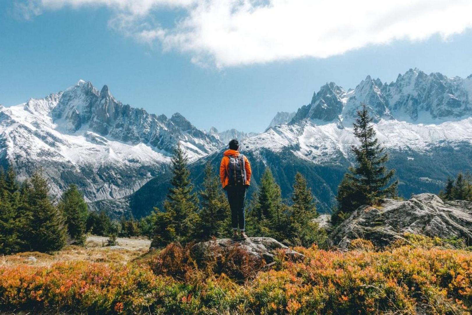 Apartment Au Bon Coin - Luxury Chamonix Hidden Haven, Mont Blanc View, Hot Tub And Garden Eksteriør billede